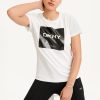 Northmist.shopaca2497990 1